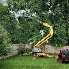 Best Commercial Tree Removal  in Lakeland Highlands, FL